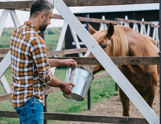 Horse Feed Buckets