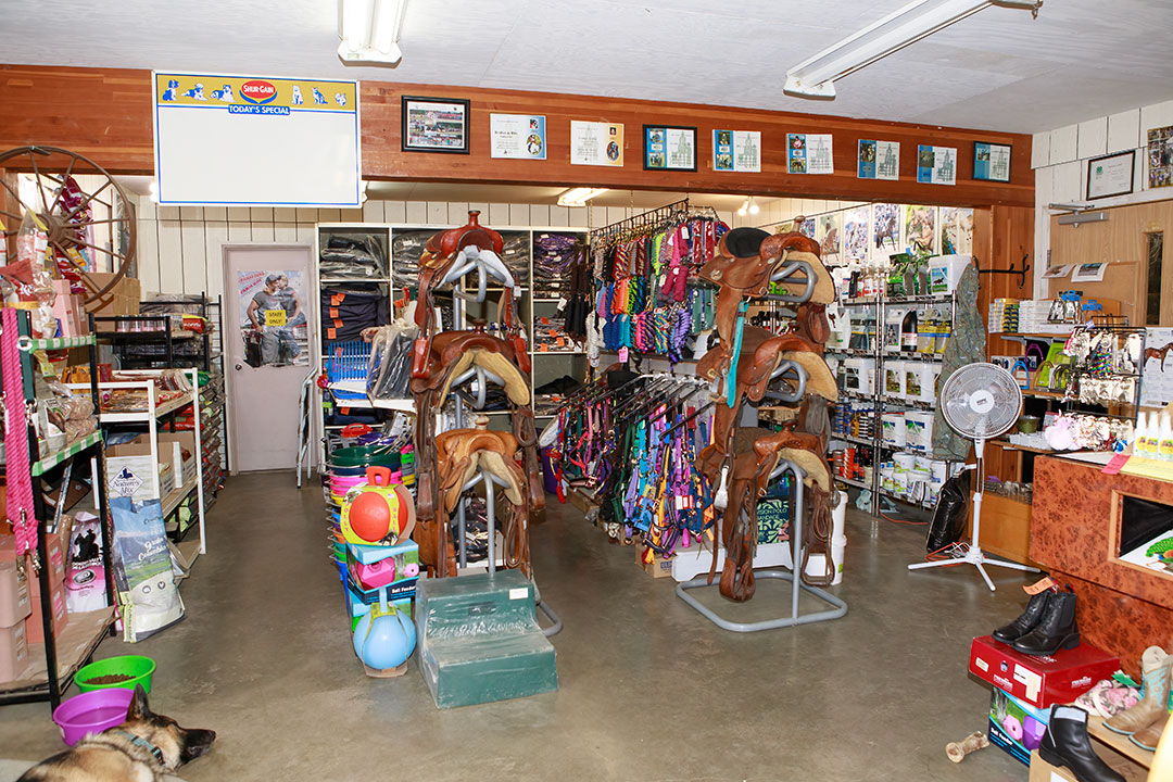 Equestrian Gift Shop