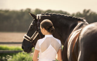 Horse Grooming Products