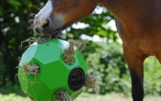 Horse Hay Ball Treats